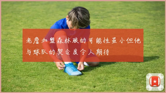 老詹加盟森林狼的可能性虽小但他与球队的契合度令人期待